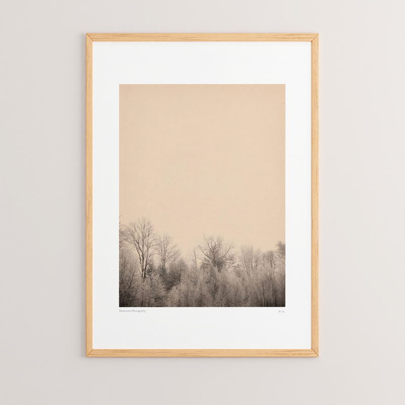 Wall art in frame Quany pakoworld with digital print 33x1.5x48cm